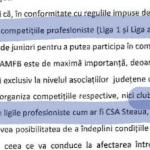 frf recunoaște că Steaua e club profesionist